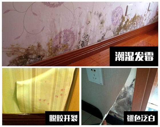 數(shù)碼彩環(huán)保漆