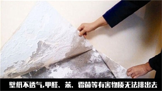 數(shù)碼彩環(huán)保漆