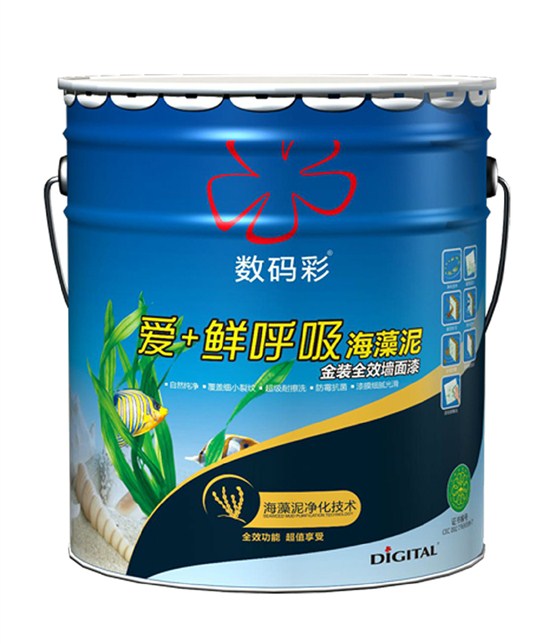 數(shù)碼彩環(huán)保漆