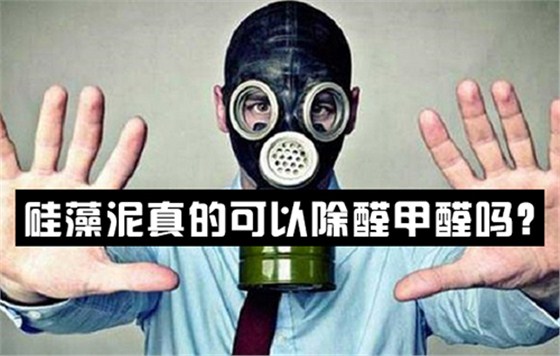 硅藻泥真的可以除醛甲醛嗎？