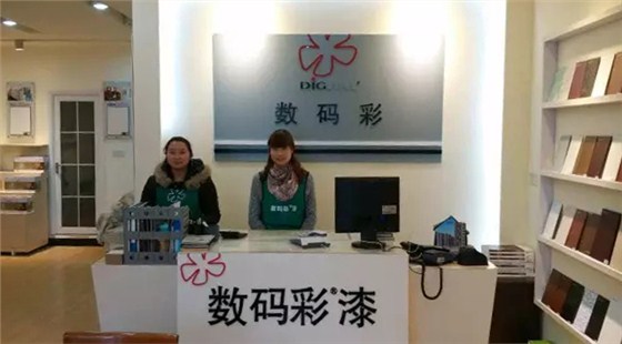 數(shù)碼彩油漆涂料荊門分銷店