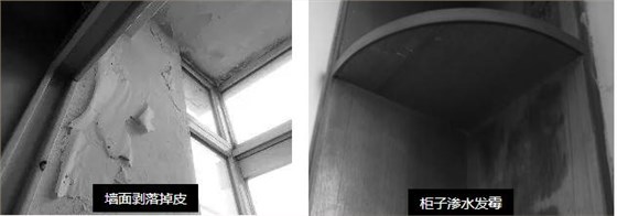 母親節(jié)特輯 &brvbar; 10天為母親煥愛心居室_福建乳膠漆品牌廠家