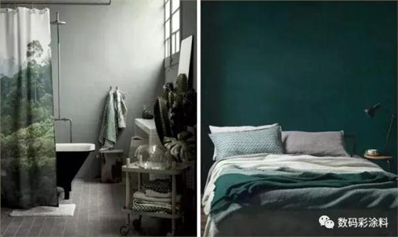 請(qǐng)不要讓你家的墻面裸奔！