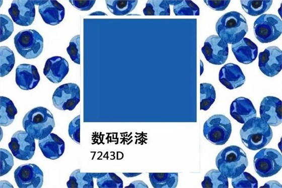 「水果藍(lán)莓色」 深沉&ldquo;感官營(yíng)養(yǎng)&rdquo;的墻面暗色系