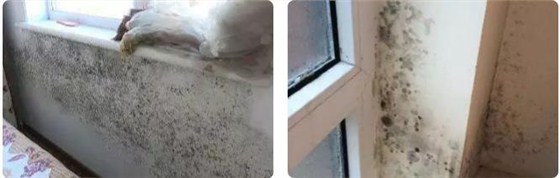 深圳龍崗潮濕暴雨天 奉上墻面防水涂料