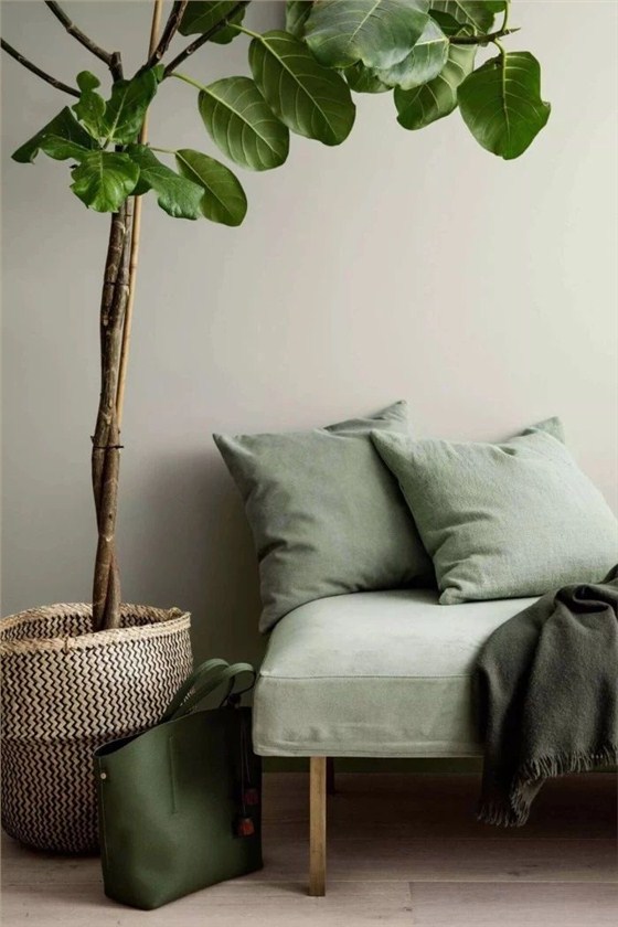 &ldquo;灰綠色&rdquo;遠離壓力，輕松打造輕奢感