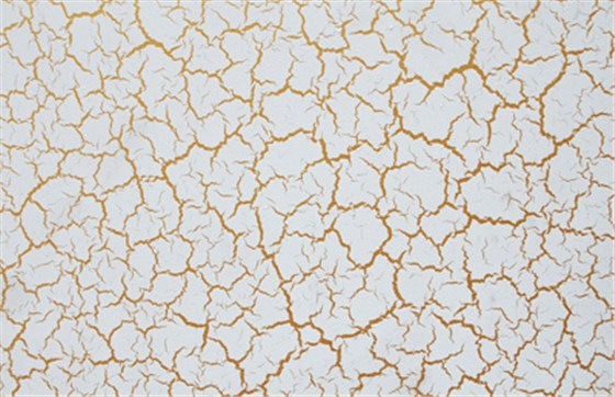 干貨!裂紋漆的常見問題及解決小竅門