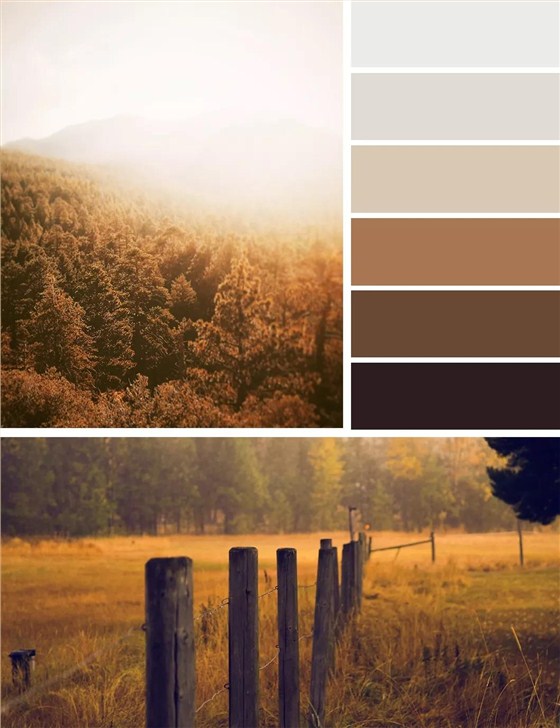 秋日的墻漆搭配，讓我們的生活增加秋日氣息