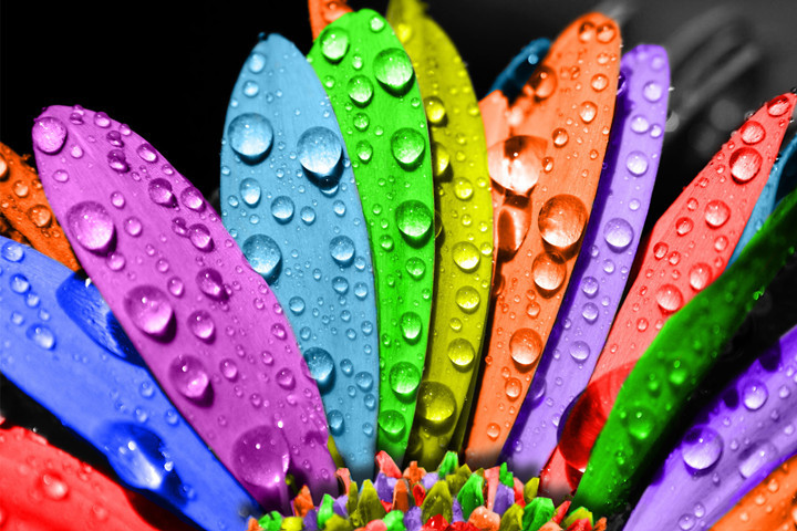 油漆涂料代理商運(yùn)營(yíng)指南，6大突破助你扭轉(zhuǎn)乾坤