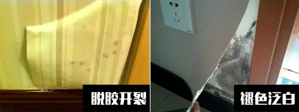 〖家裝資訊臺(tái)〗潮濕天氣，房子剪開壁紙全是蘑菇