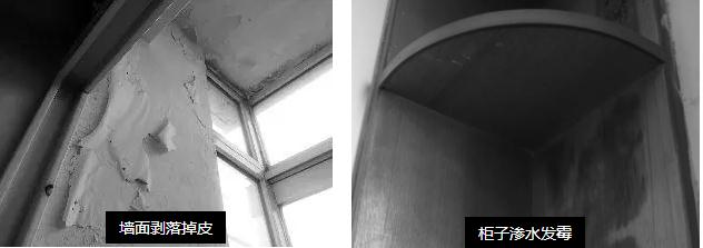 母親節(jié)特輯 &brvbar; 10天為母親煥愛心居室_福建乳膠漆品牌廠家