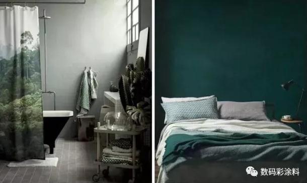 請不要讓你家的墻面裸奔！