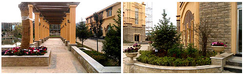 甘肅定西岷縣外墻仿石漆別墅群，筑造&ldquo;東方威尼斯水城&rdquo;