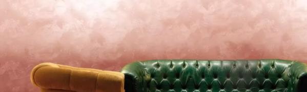 家里裝修用藝術涂料 OR 硅藻泥？