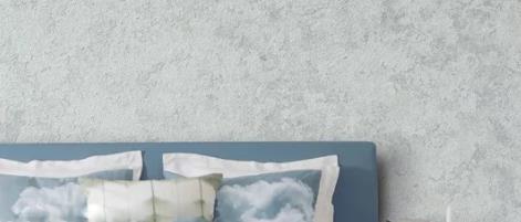 家里裝修用藝術涂料 OR 硅藻泥？