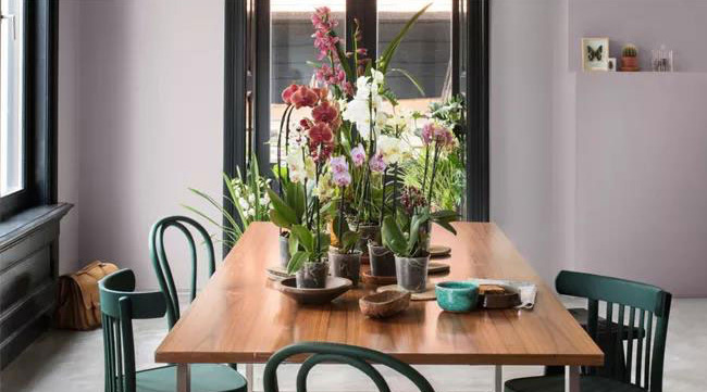 水性木器漆環(huán)保標(biāo)準(zhǔn)全解析2