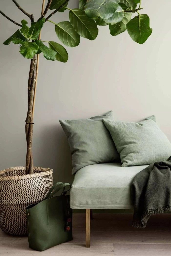 &ldquo;灰綠色&rdquo;遠(yuǎn)離壓力，輕松打造輕奢感