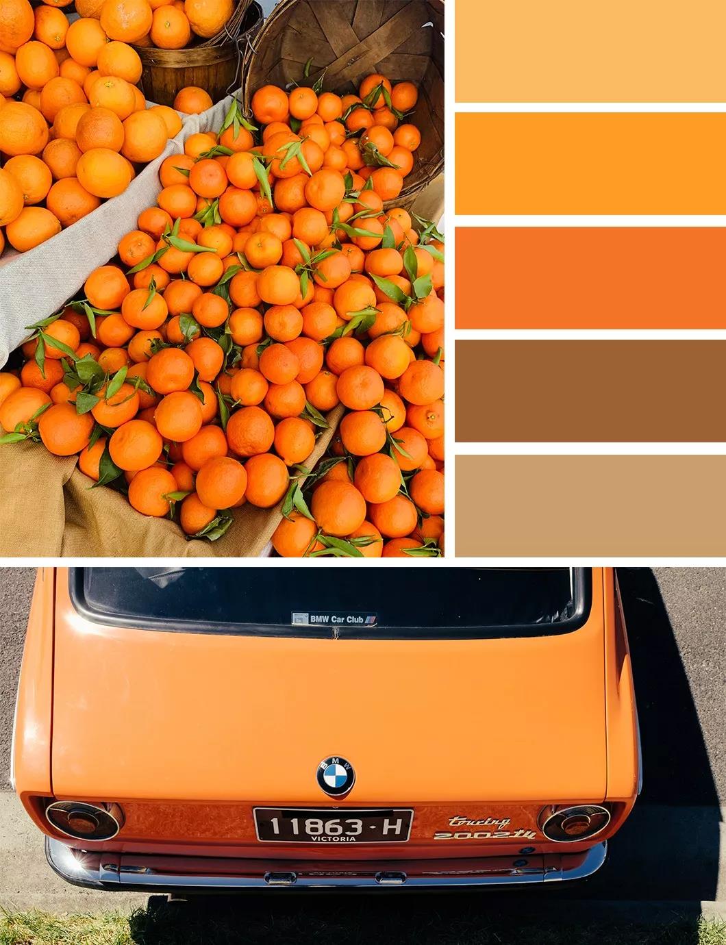 秋日的墻漆搭配，讓我們的生活增加秋日氣息