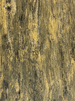 第一期新品培訓完美謝幕！第二波培訓要來咯~