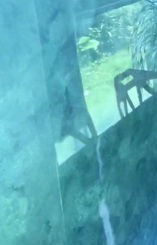 史上最強墻面濾鏡&mdash;&mdash;極亮罩面