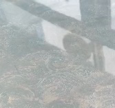 史上最強墻面濾鏡&mdash;&mdash;極亮罩面